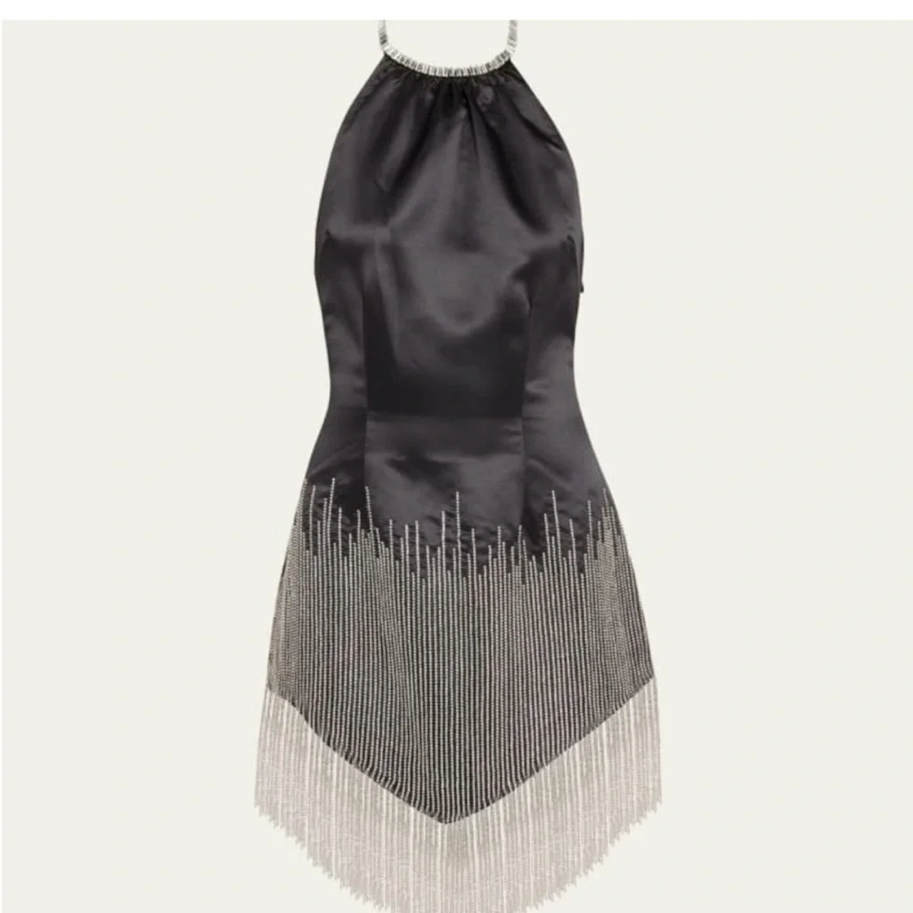 Retrofete Elegant Black and Silver Fringe Dress - Picture 5 of 16